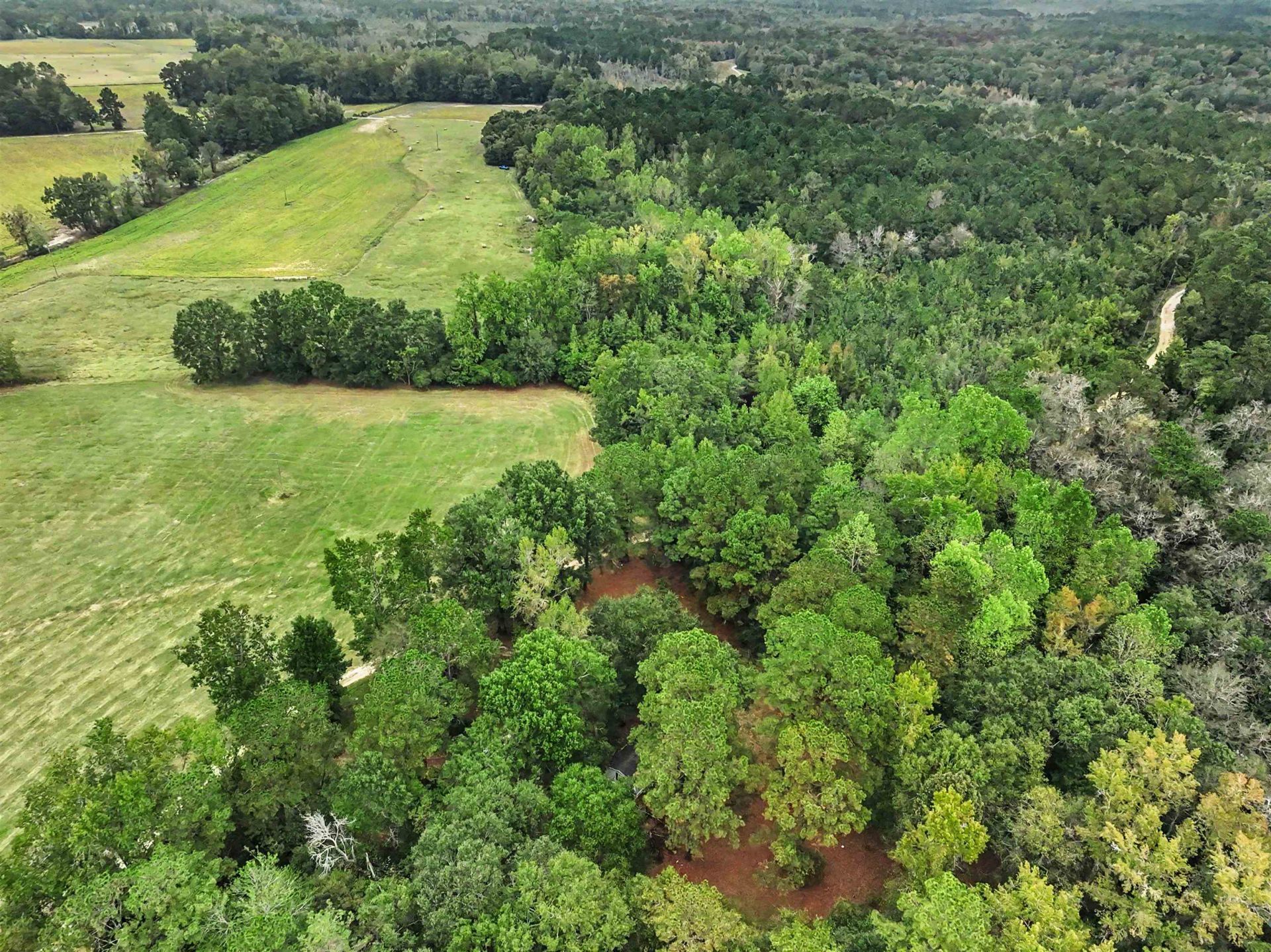 1068 Old River Rd.  Photo 17