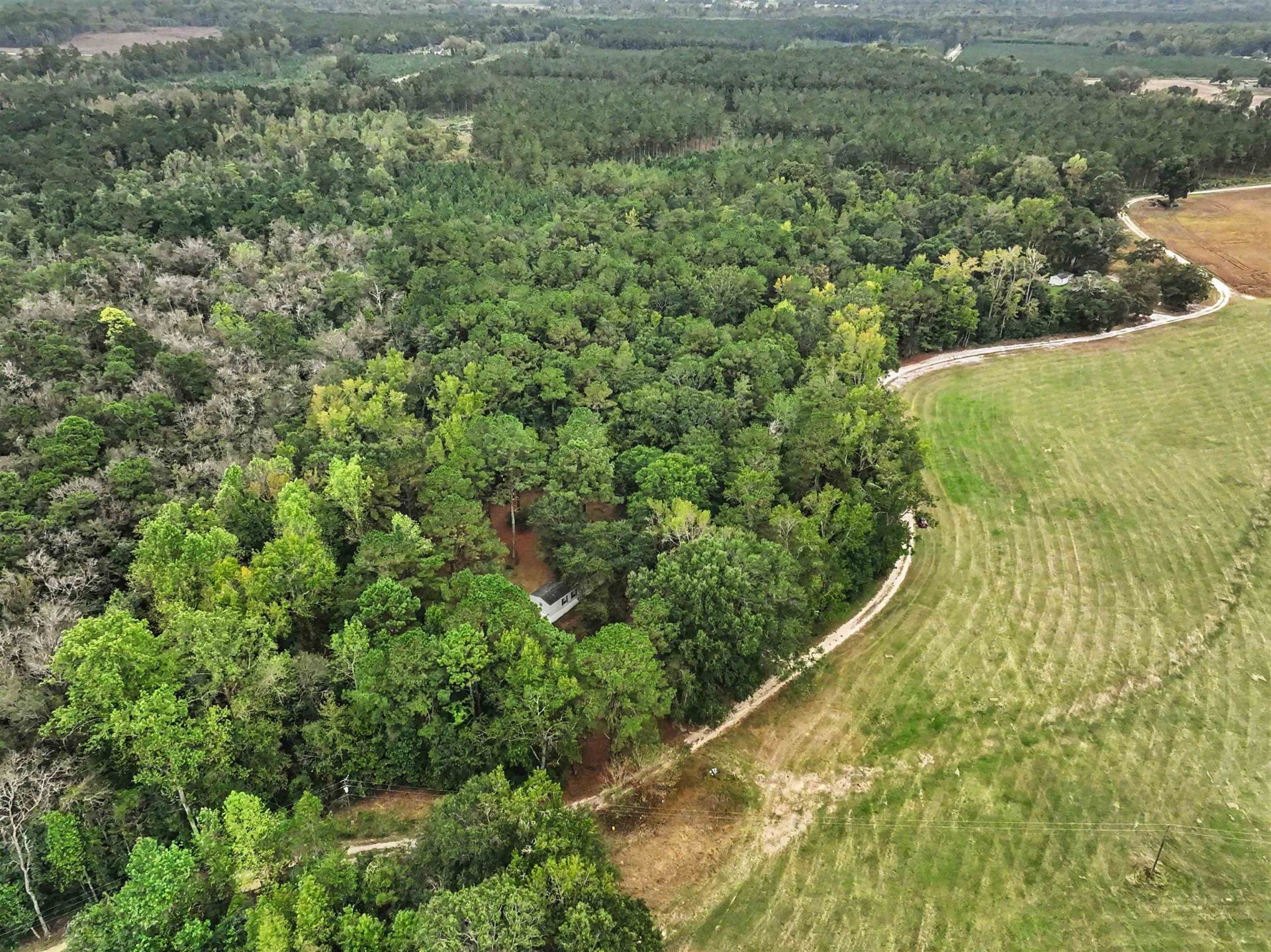 1068 Old River Rd.  Photo 18