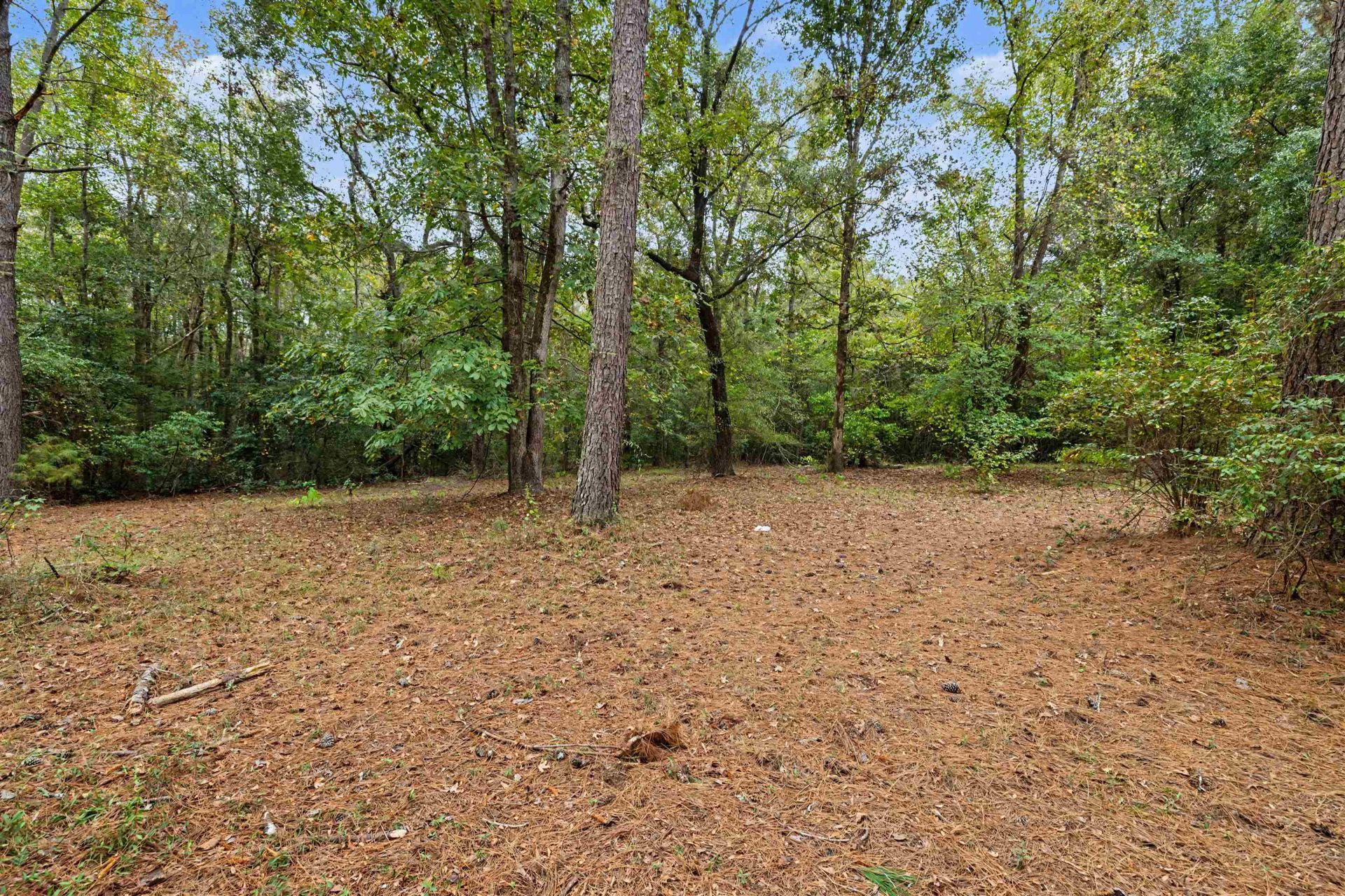 1068 Old River Rd.  Photo 8