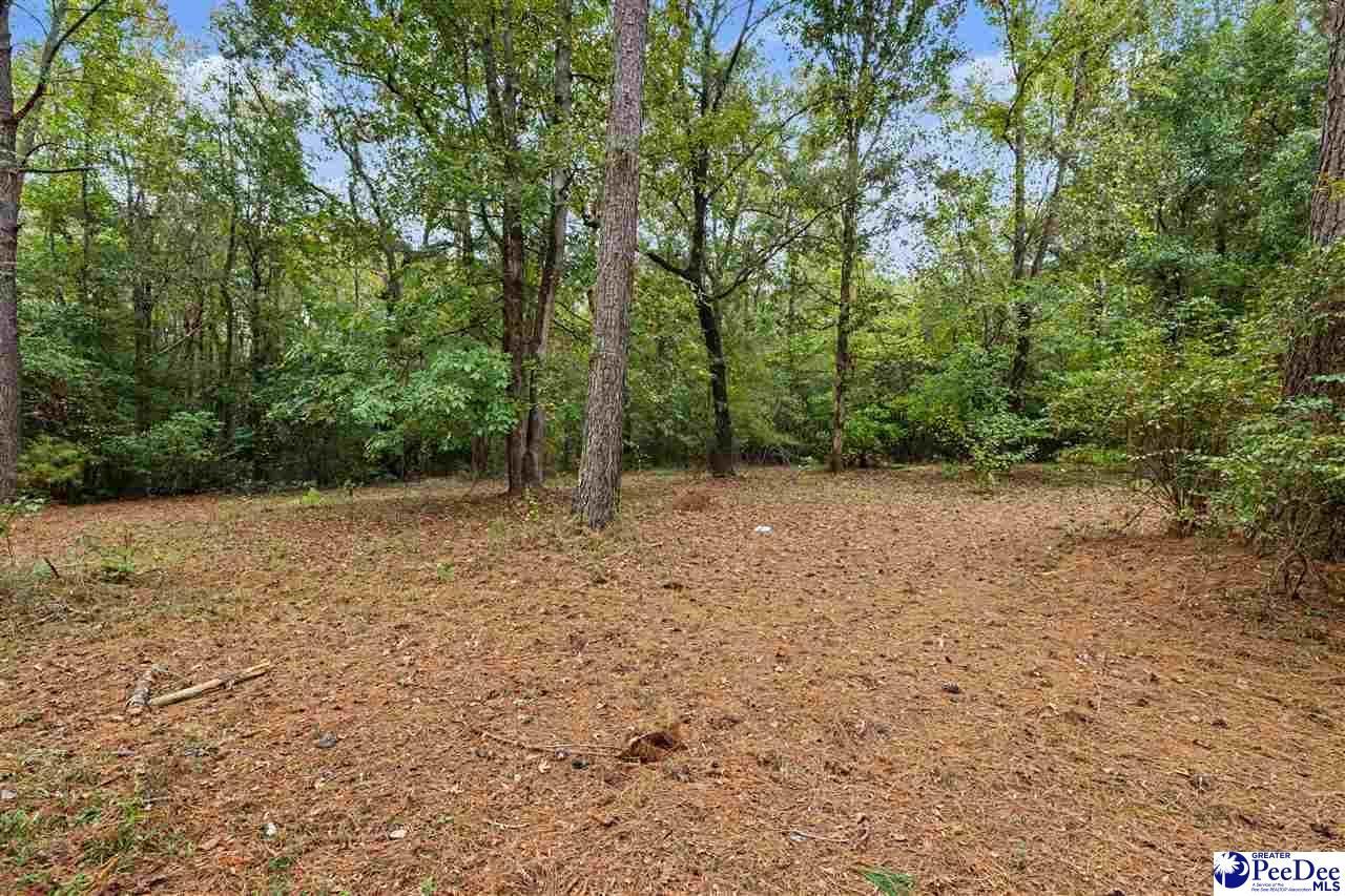 1068 Old River Road Photo 11