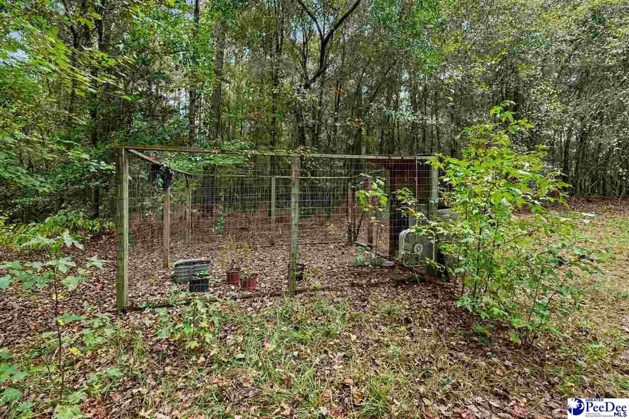 1068 Old River Road Photo 13