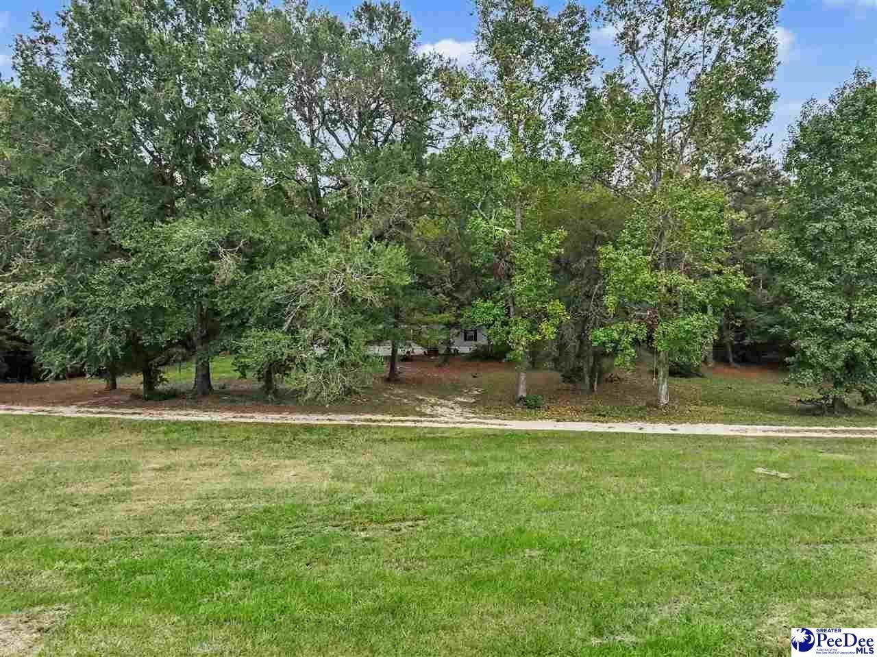 1068 Old River Road Photo 14