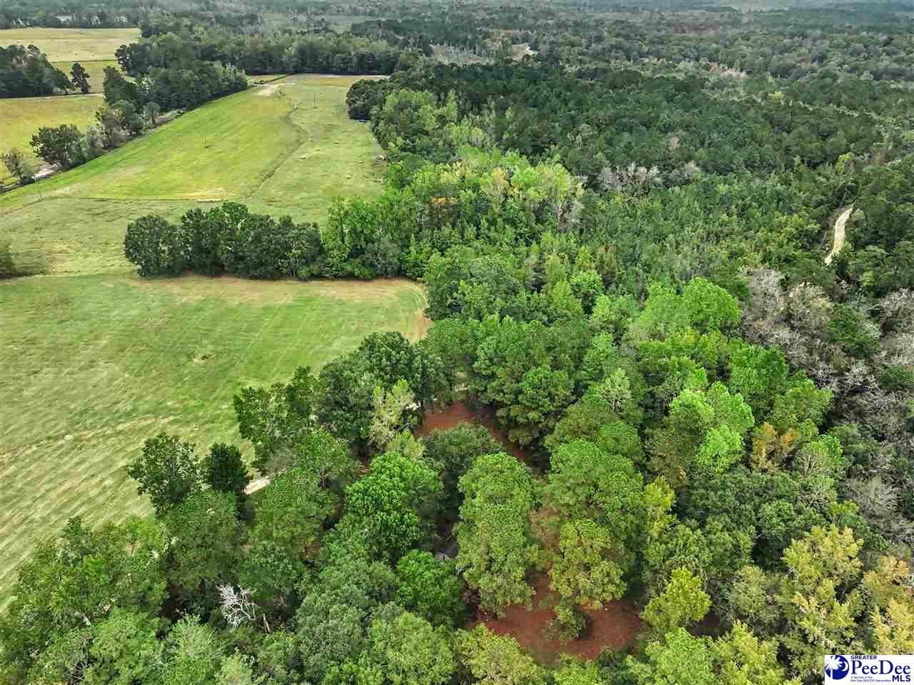 1068 Old River Road Photo 17