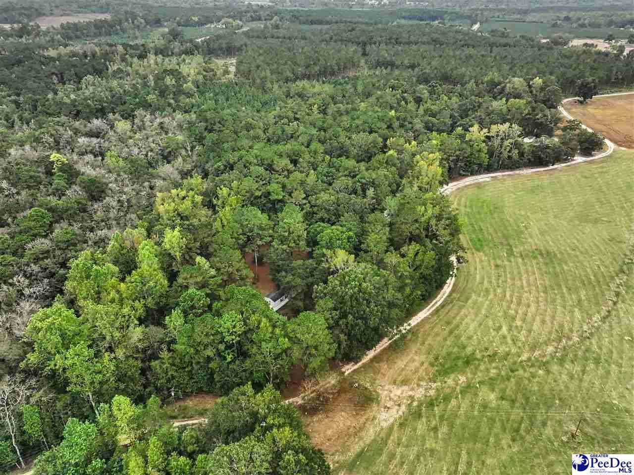 1068 Old River Road Photo 18