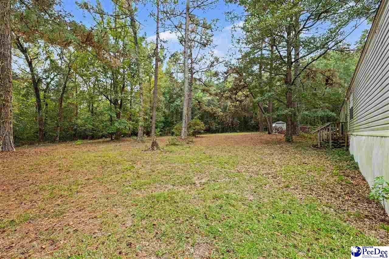 1068 Old River Road Photo 8