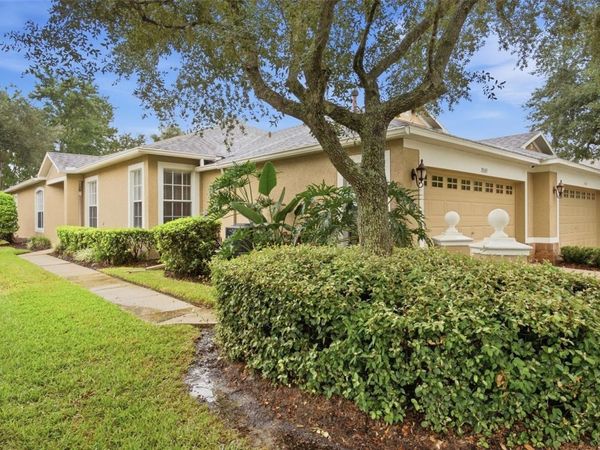 19149 LAKE AUDUBON DRIVE , TAMPA, FL 33647
