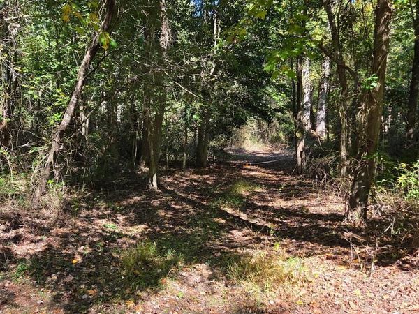 DUHAMEL CORNER ROAD , MARYDEL, MD 21649