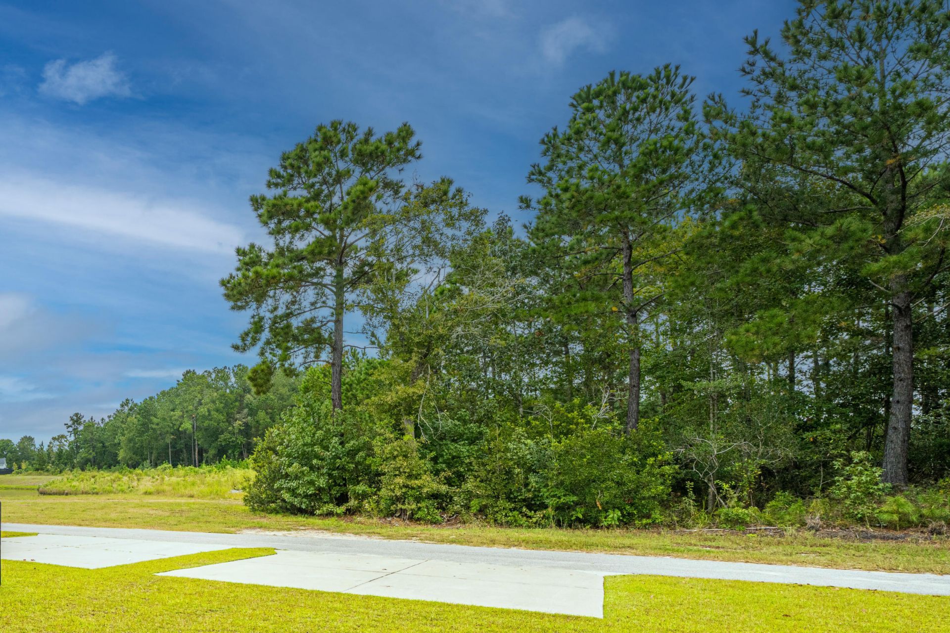 146 Helena Park Drive Photo 30