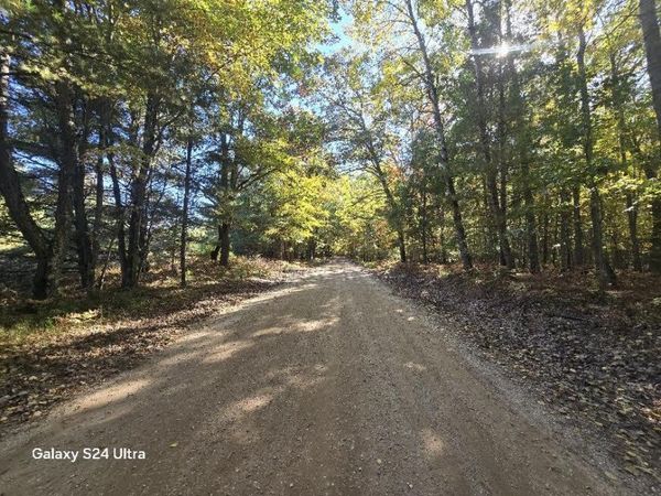 00 N 11 Mile Road, Irons, MI 49644