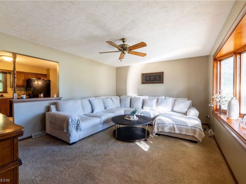 2850 Vollmer Drive, Austintown, OH 44511 Photo 5