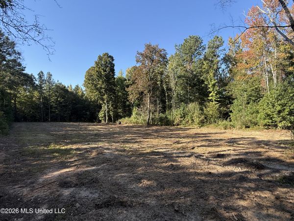 Bluff Springs Road, Ackerman, MS 39735