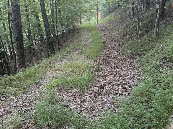 335 Deer Run Lane, Morganton, GA 30560