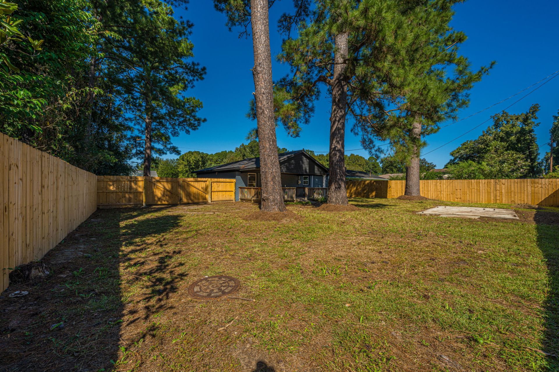 504 Mary Scott Drive Photo 12