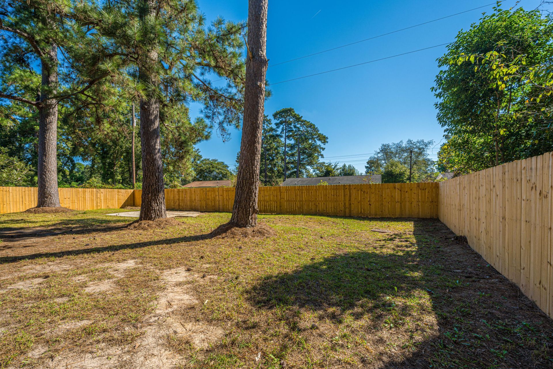 504 Mary Scott Drive Photo 14