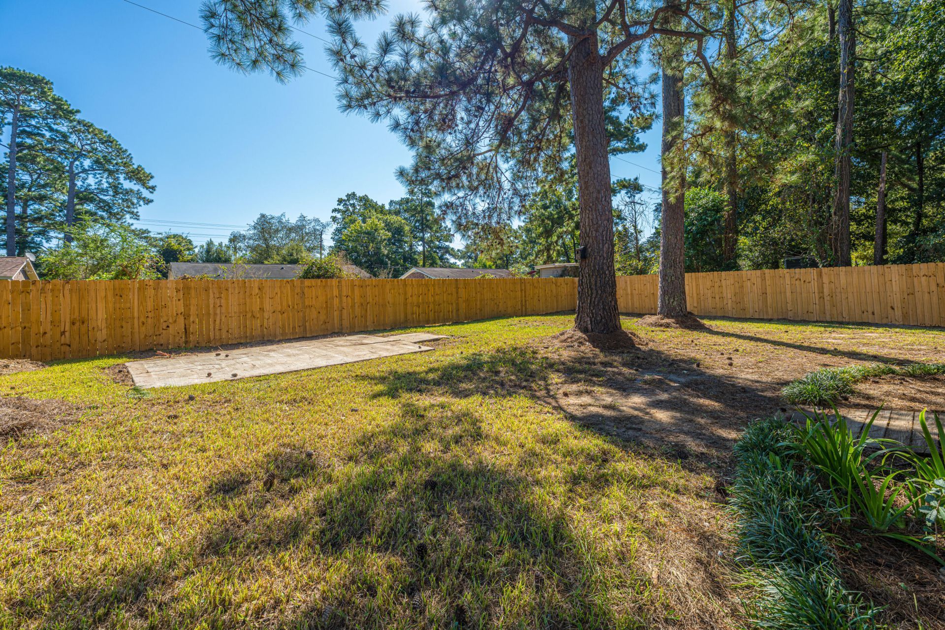 504 Mary Scott Drive Photo 7