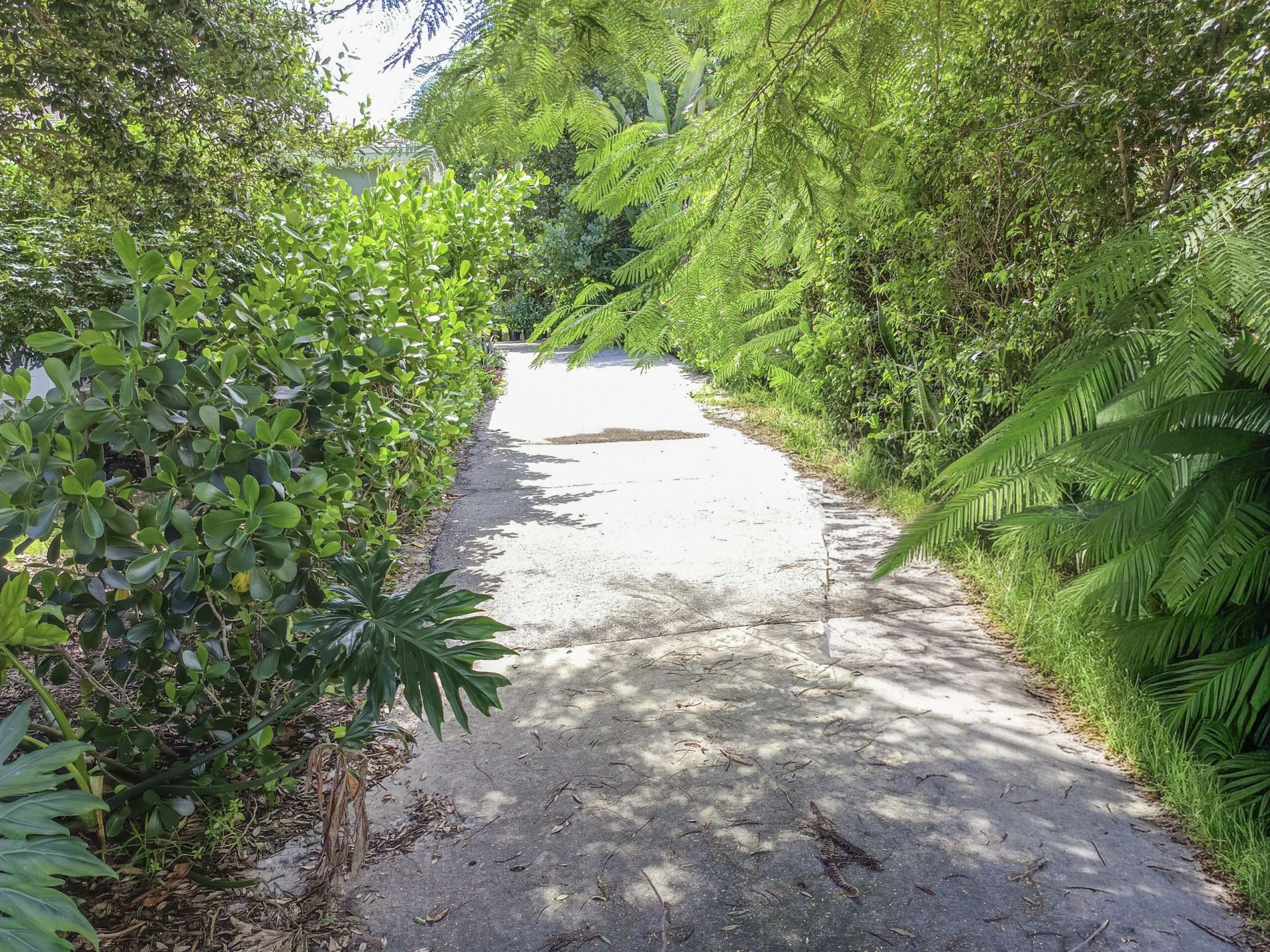 1147 15th Avenue N, Unit A, Lake Worth Beach, FL 33460 Photo