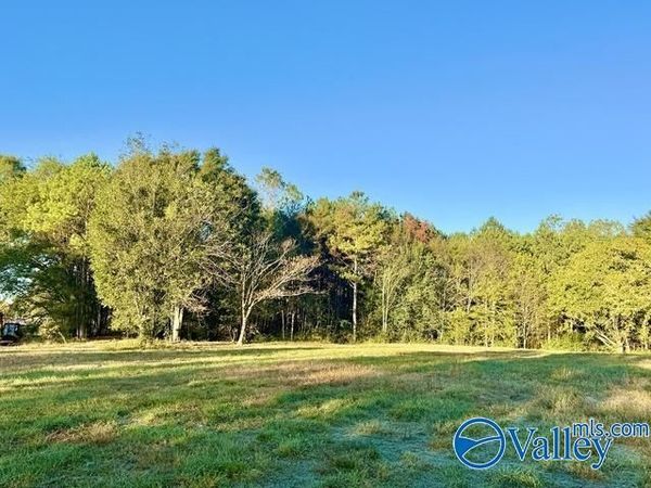 624 Kirby Bridge Road, Danville, AL 35619