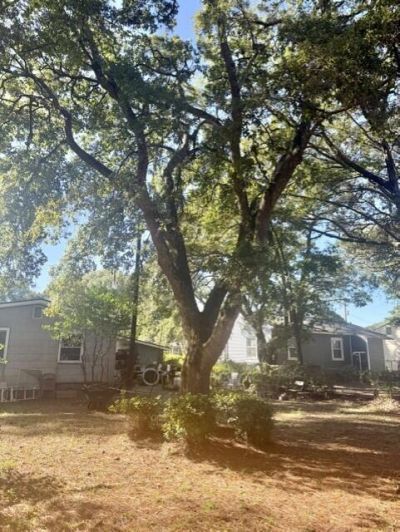 3923 Hilda Street Photo 17