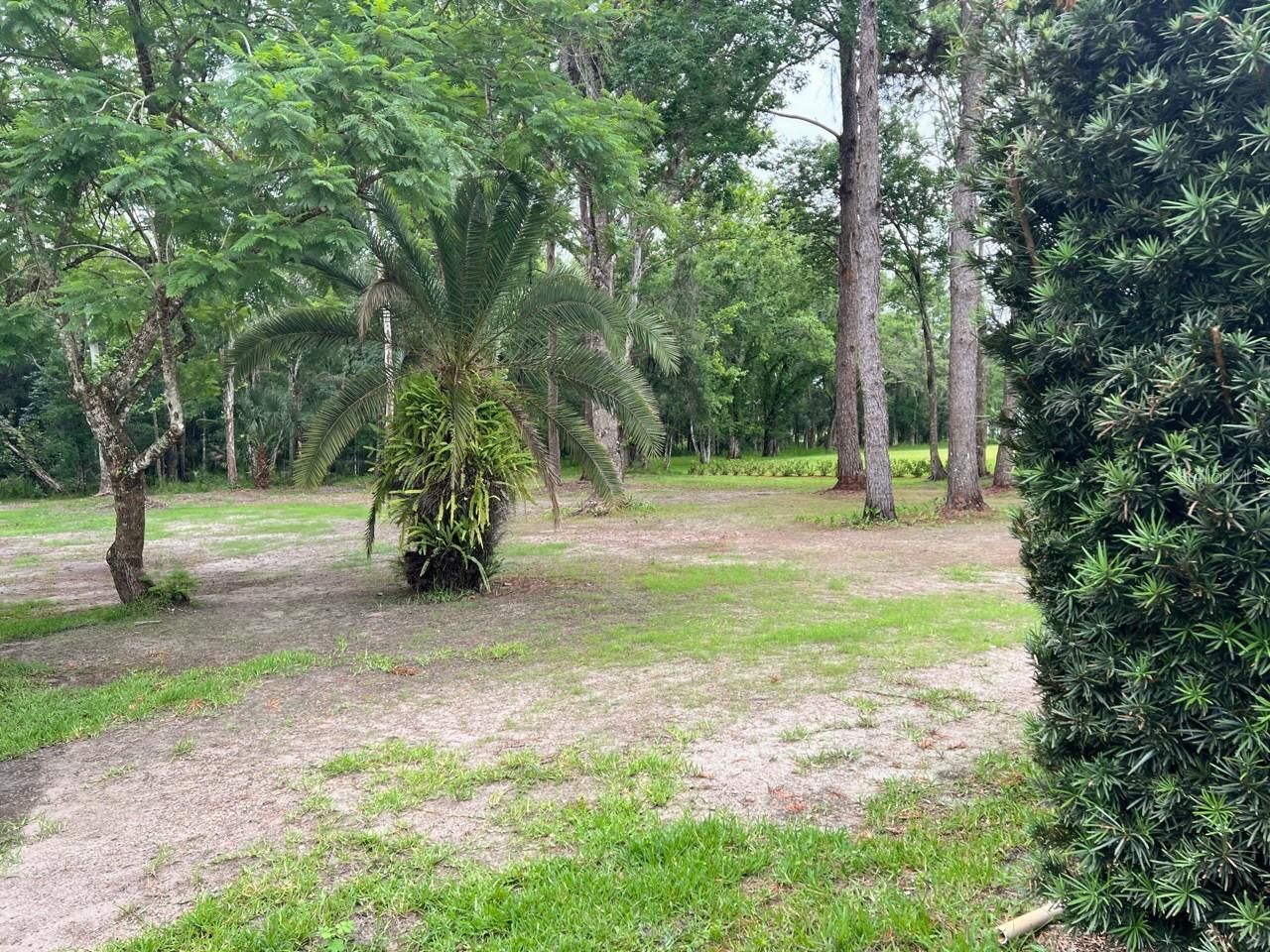 8536 Cessna Drive , New Port Richey, FL 34654 Photo