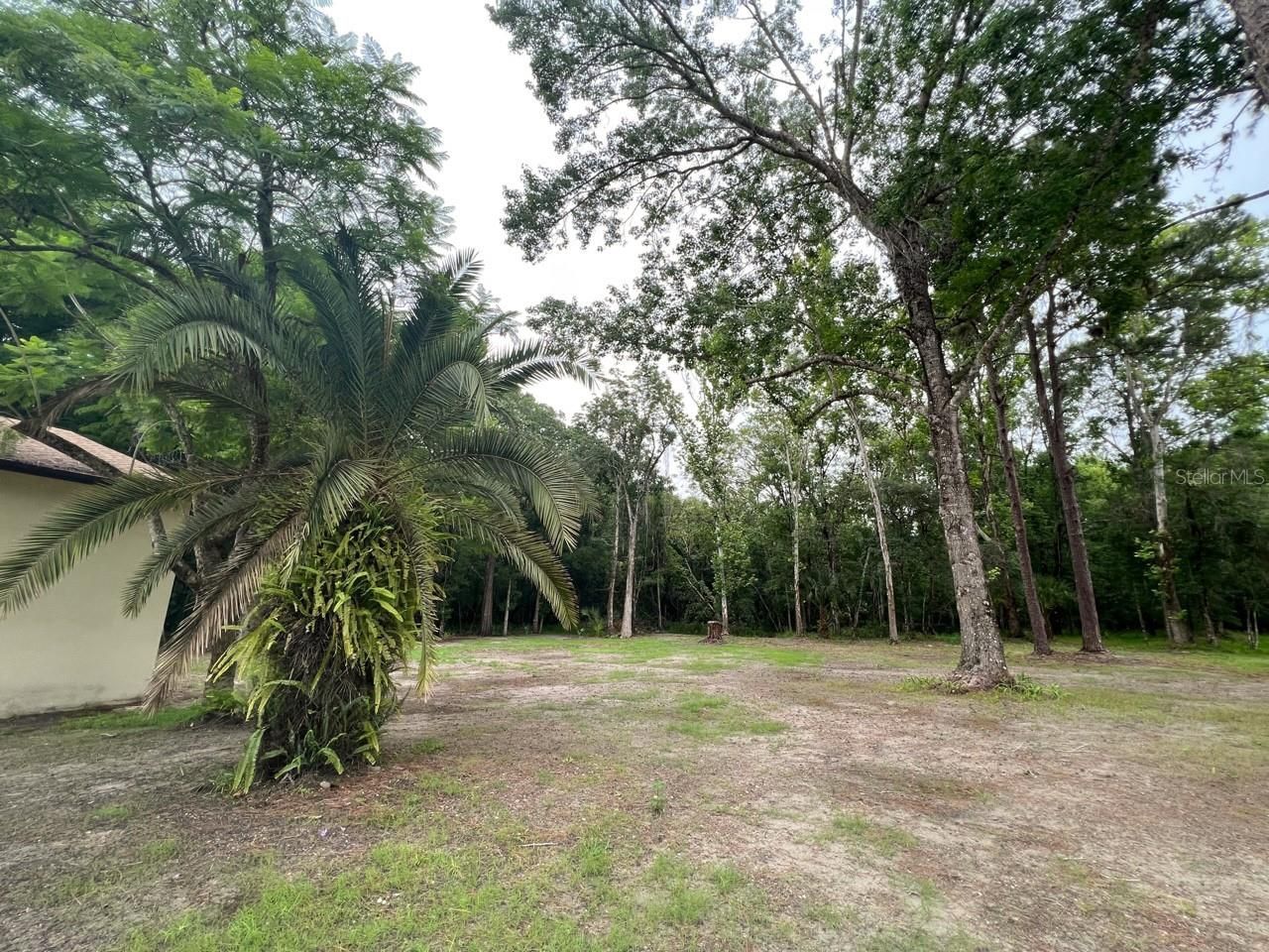 8536 Cessna Drive , New Port Richey, FL 34654 Photo