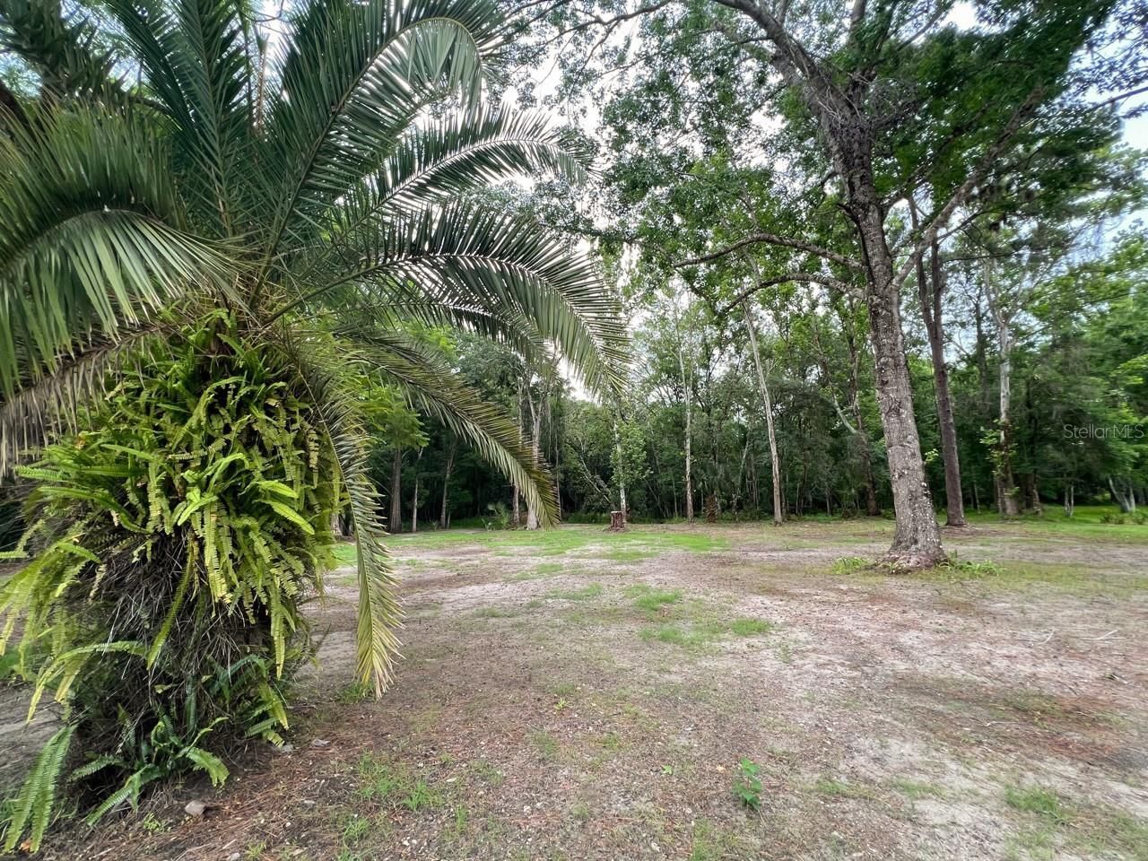 8536 Cessna Drive , New Port Richey, FL 34654 Photo