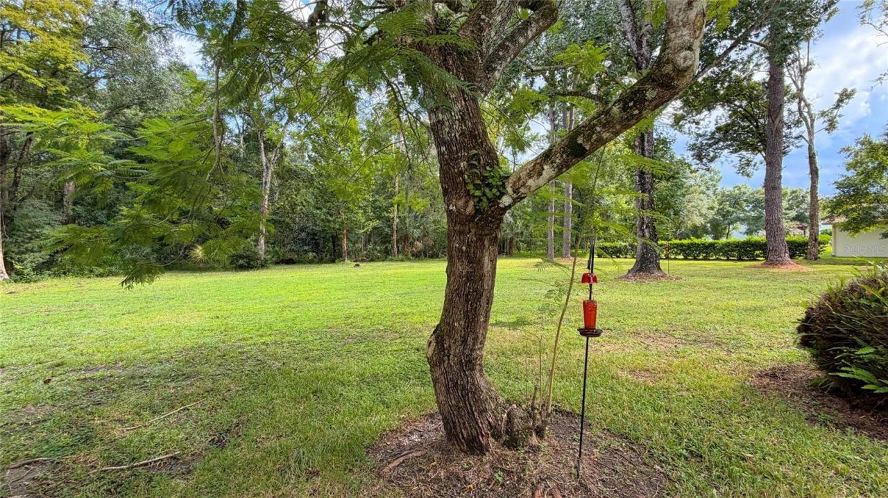 8536 Cessna Drive , New Port Richey, FL 34654 Photo