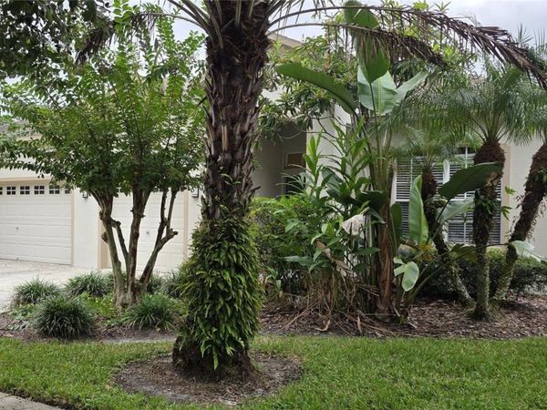 19205 MEADOW PINE DRIVE , TAMPA, FL 33647