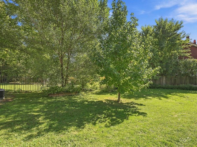 15 Catalpa Street, Covington, KY 41014 Photo 9