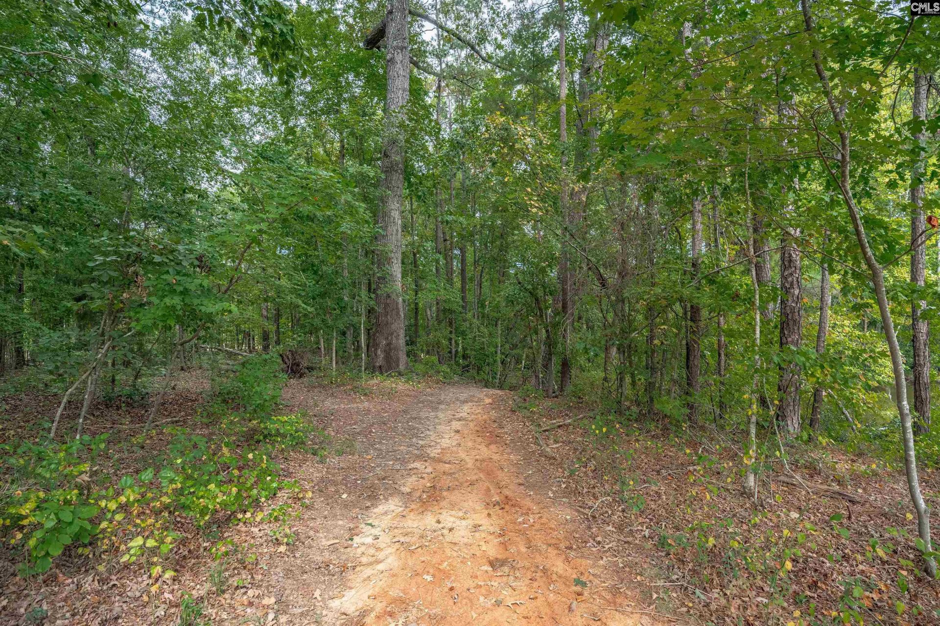 755 Tiger Lily Drive Photo 13