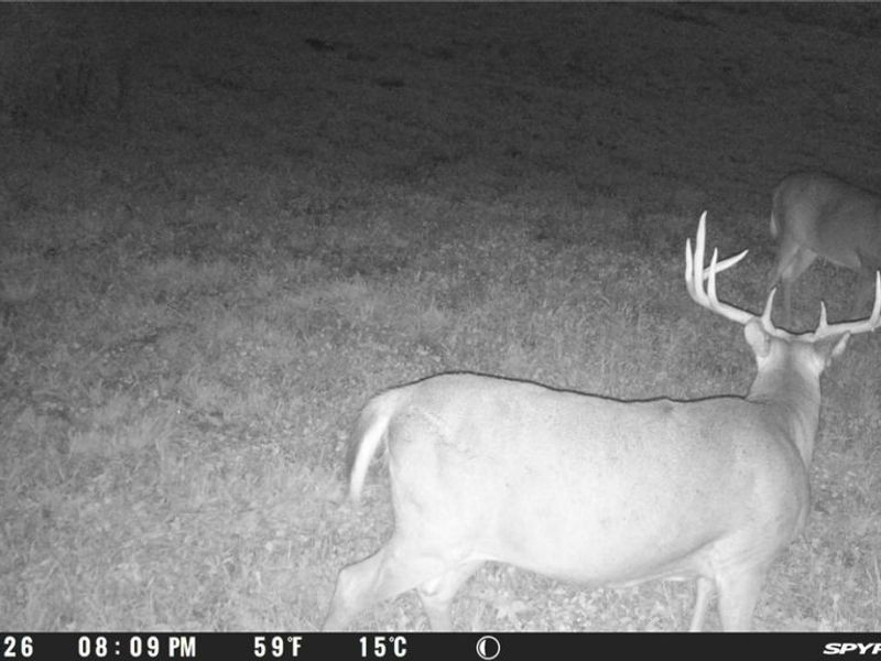 28550 State Route 60 Highway, Warsaw, OH 43844 Photo 12