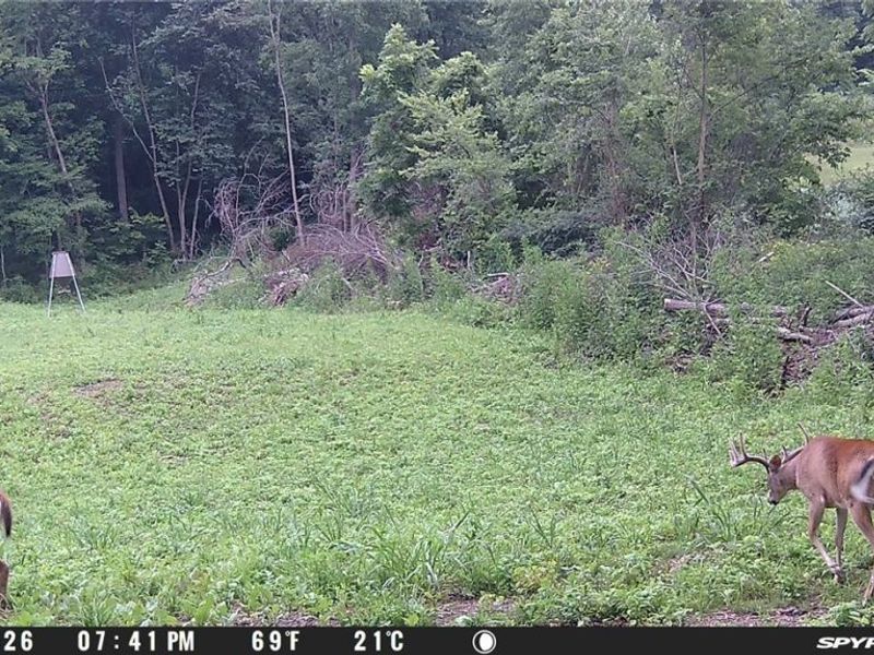 28850 State Route 60 Highway, Warsaw, OH 43844 Photo 14