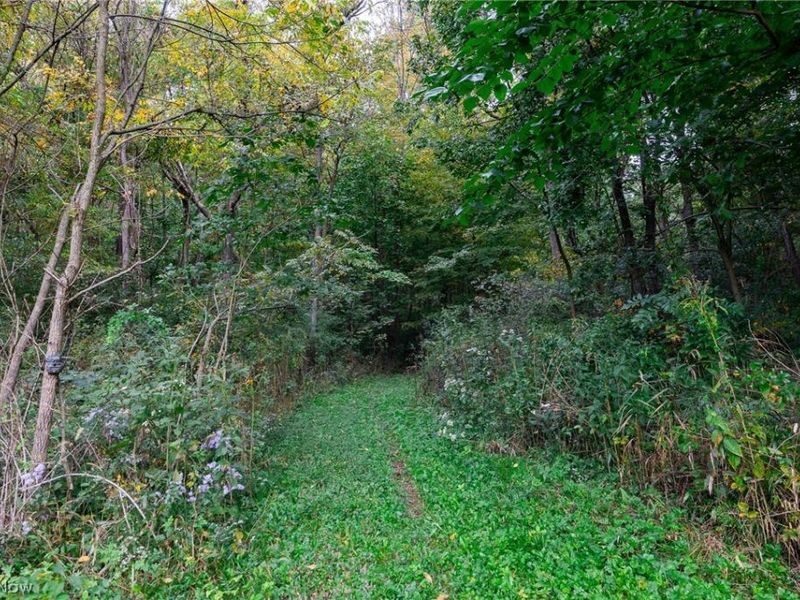 28850 State Route 60 Highway, Warsaw, OH 43844 Photo 31