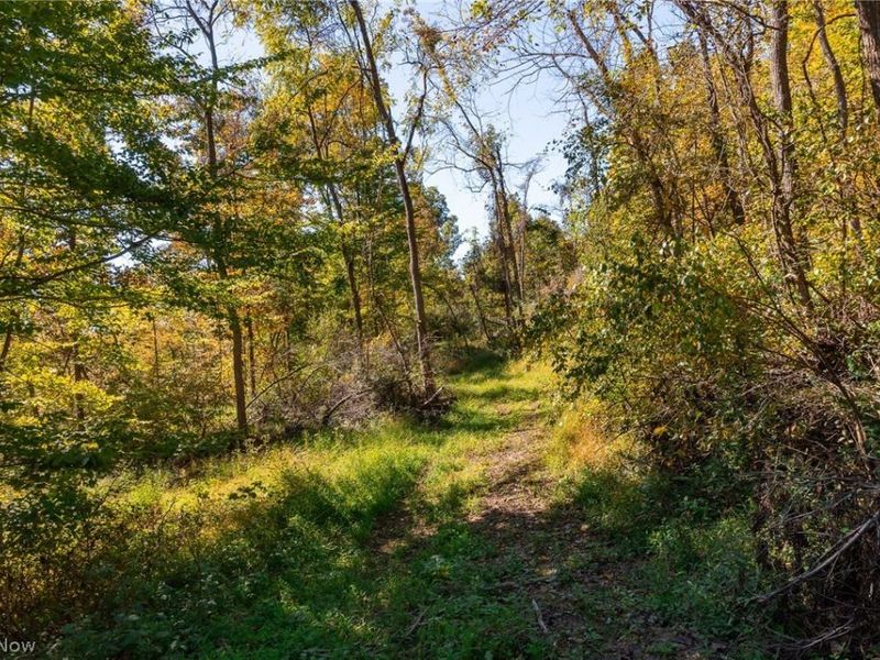 Keithtown Road, Caldwell, OH 43724 Photo 33