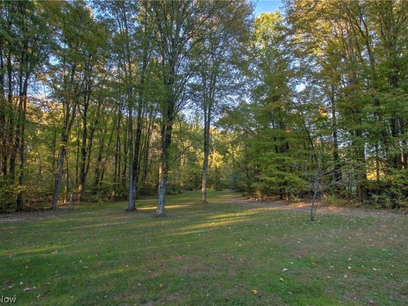 3307 Dawley Road, Ravenna, OH 44266 Photo 36