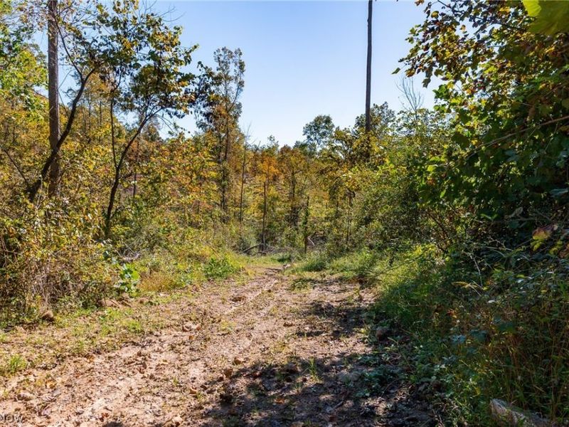 Keithtown Road, Caldwell, OH 43724 Photo 18