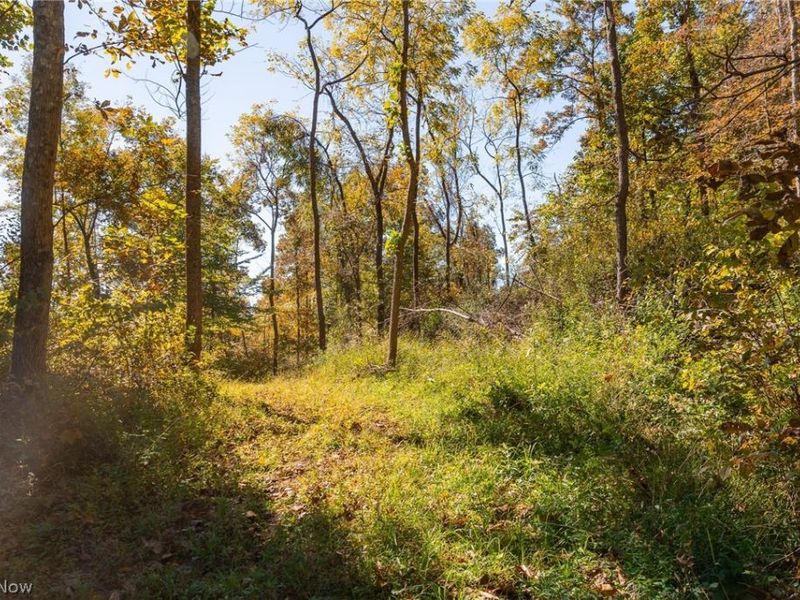 Keithtown Road, Caldwell, OH 43724 Photo 23