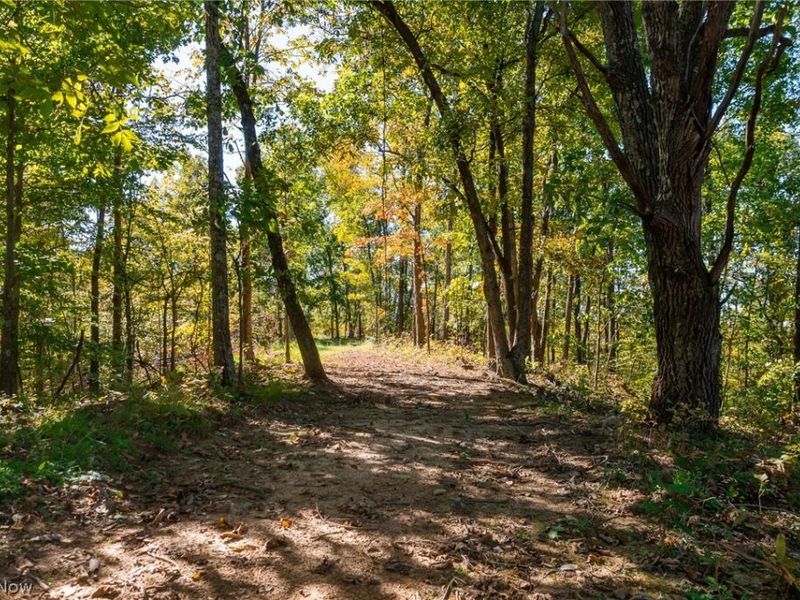 Keithtown Road, Caldwell, OH 43724 Photo 10