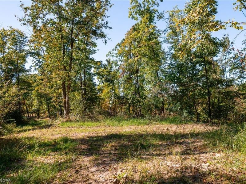 Keithtown Road, Caldwell, OH 43724 Photo 11