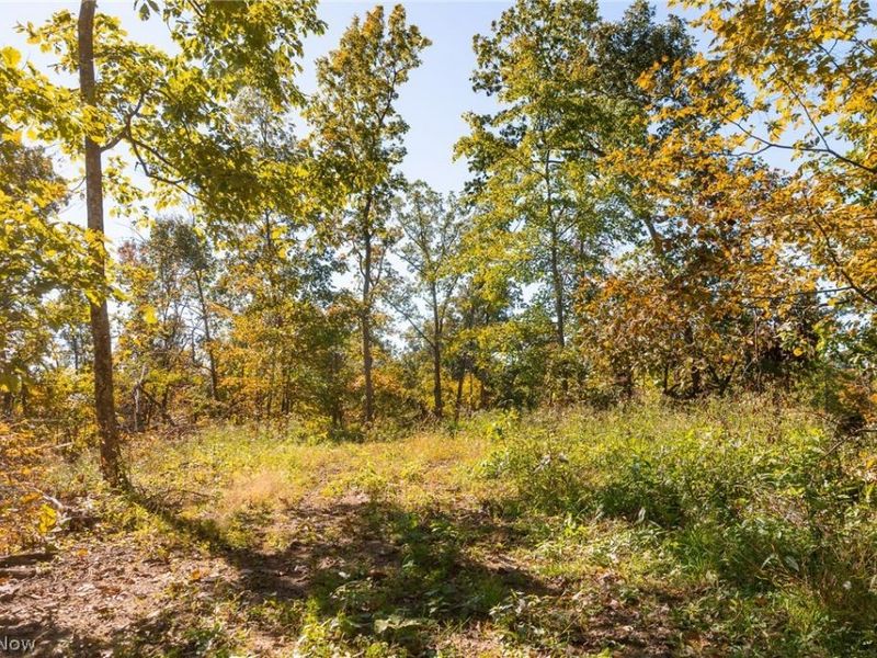 Keithtown Road, Caldwell, OH 43724 Photo 31