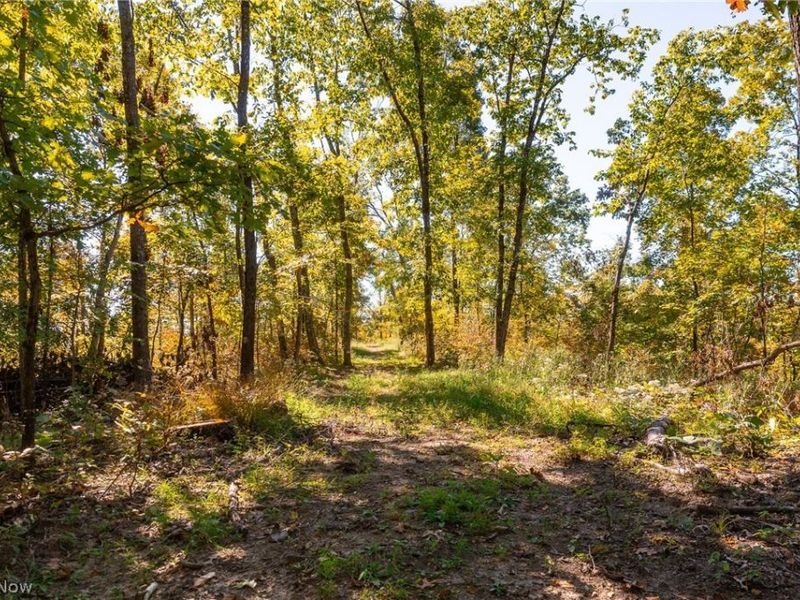 Keithtown Road, Caldwell, OH 43724 Photo 33