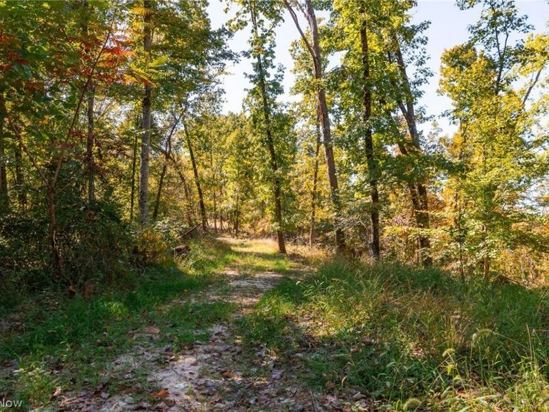 Keithtown Road, Caldwell, OH 43724 Photo 36