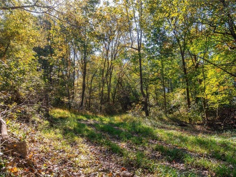 Keithtown Road, Caldwell, OH 43724 Photo 48
