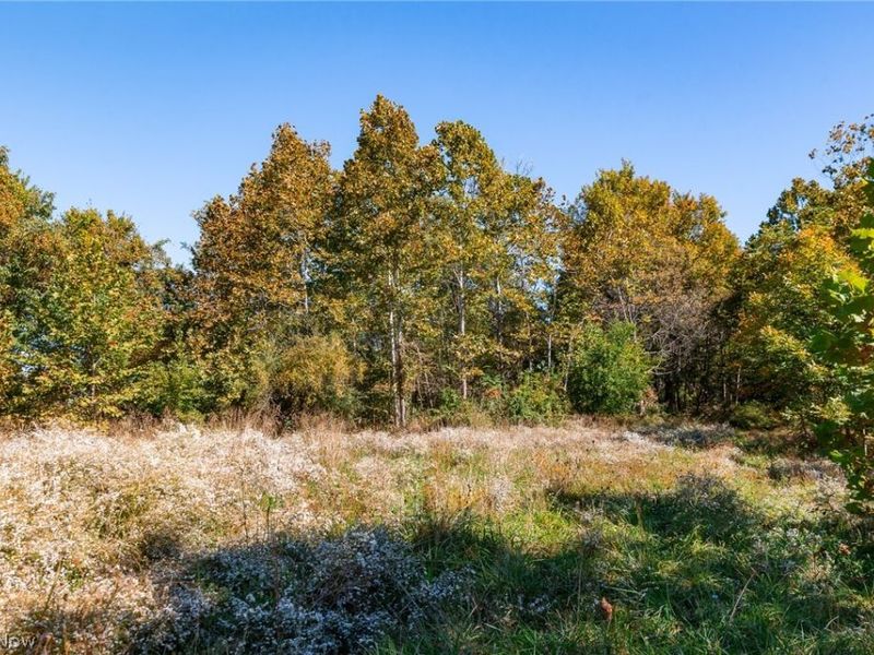 Keithtown Road, Caldwell, OH 43724 Photo 9