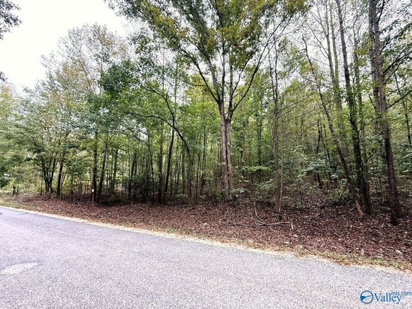 5.10 acres Brans Chapel Road, Attalla, AL 35954
