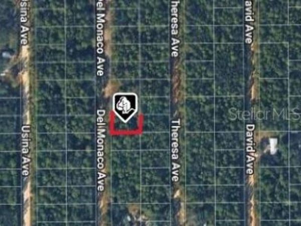 920 DEL MONACO AVENUE , INTERLACHEN, FL 32148