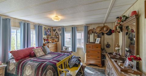 32 Wild Peach Lane, Wellington, NV 89444 Photo