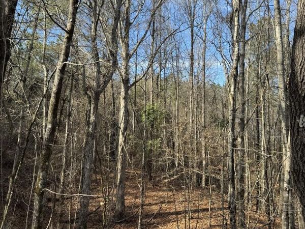 00 Chapel Hill Rd, Grenada, MS 38929