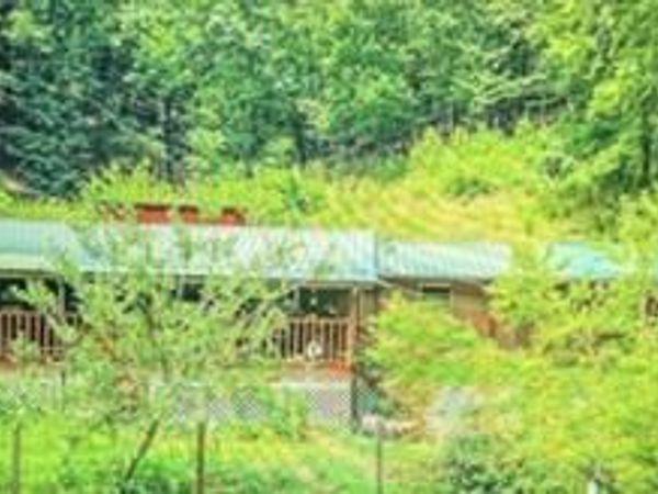 9122 Pickens Gap Road, Knoxville, TN 37920