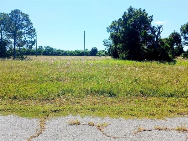 13732 WALLEYE WAY , PLACIDA, FL 33946