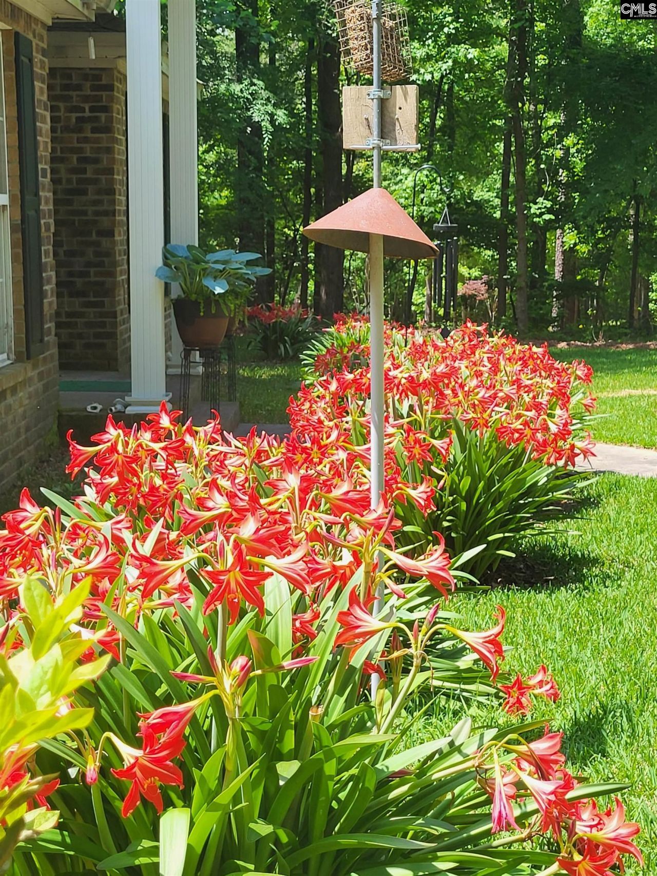 138 Erica Court  Photo 67